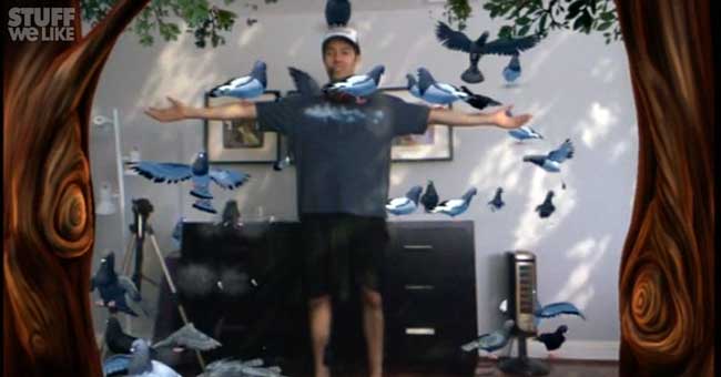 Happy Action Theater pigeons