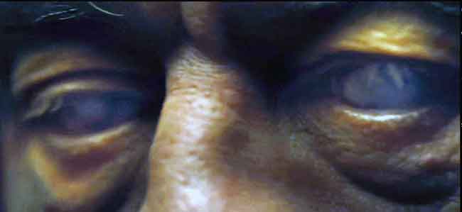 Red Lights Robert De Niro