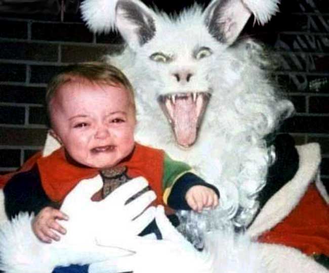 Evil Rabbit